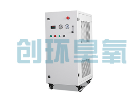 丽江石斑鱼养殖水质调控完整指南:臭氧发生器配置与操作步骤