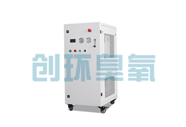 丽江2026年石斑鱼养殖新趋势:为什么高密度循环水必须配备臭氧发生器?
