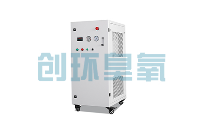 丽江比传统换水更高效?臭氧发生器在石斑鱼养殖中的水质净化原理解析